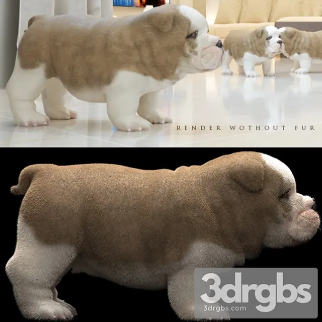 Bull Dog 3D Model Download