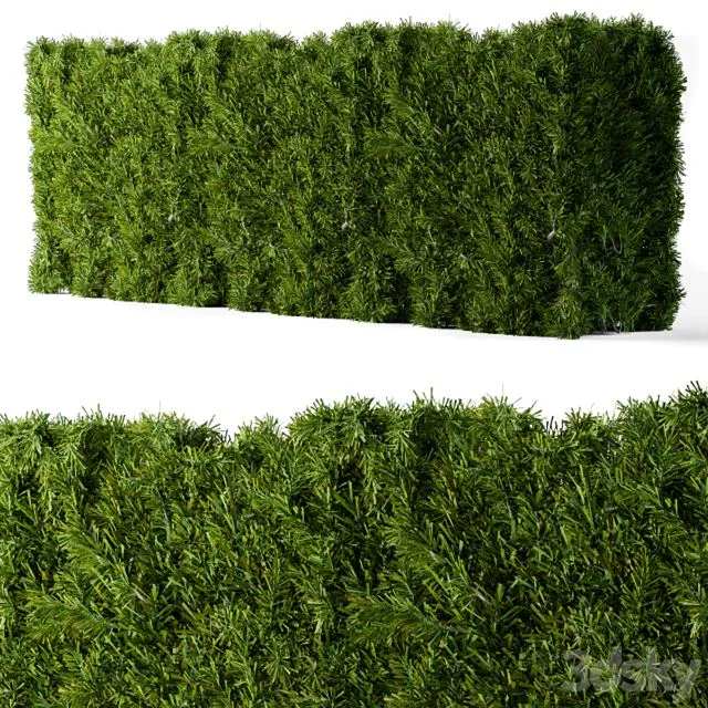 Bush needle wall 3D Model