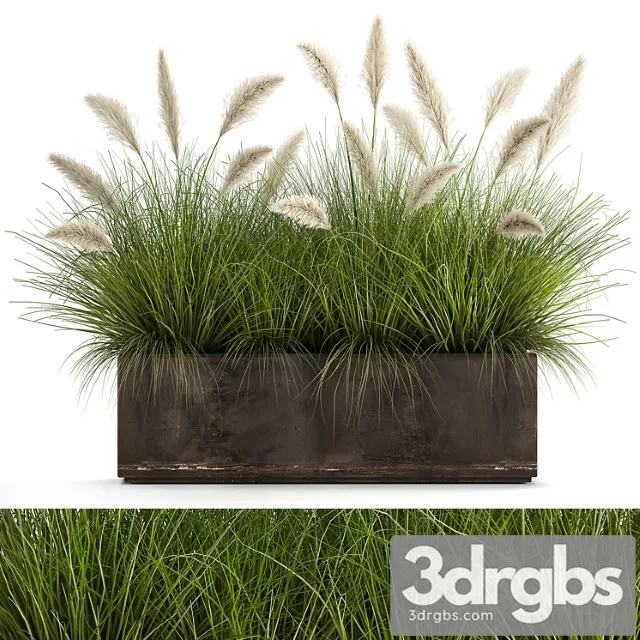 Bush plants in a metal outdoor pot with white pampas grass, veynik, reed. 902. Bush plants in a metal outdoor pot with white pampas grass, veynik, reed. 902.