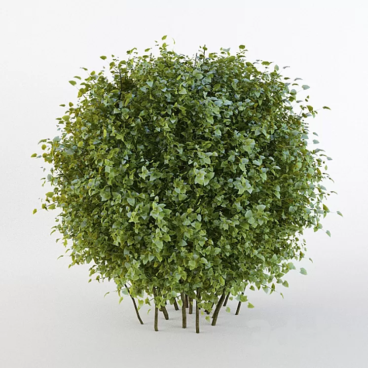 Bush short-haired in the form of a sphere (Pere fill) 3D Model