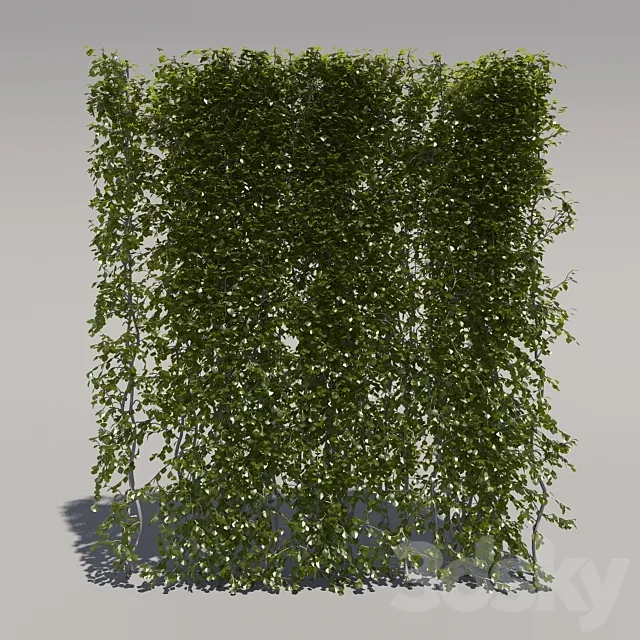 Bush trimmed high 3D Model