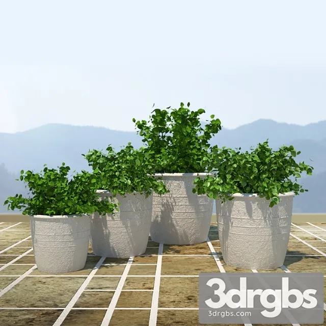 Bushes 2 3D Model Download