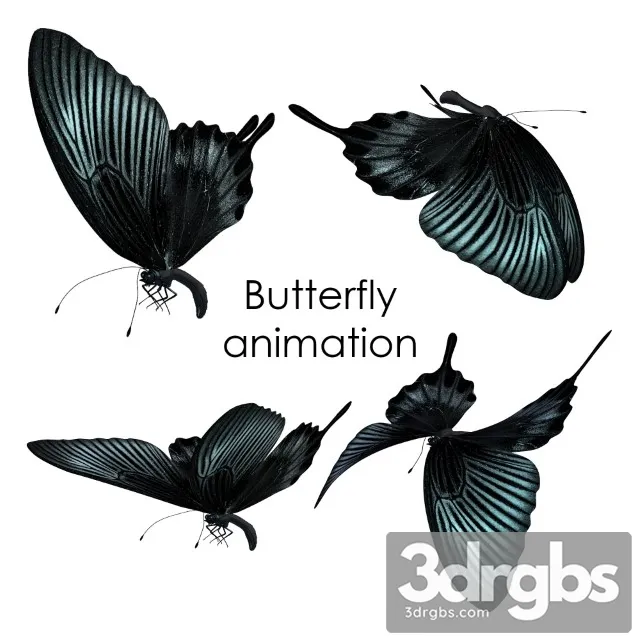Butterfly Animation 3D Model Download