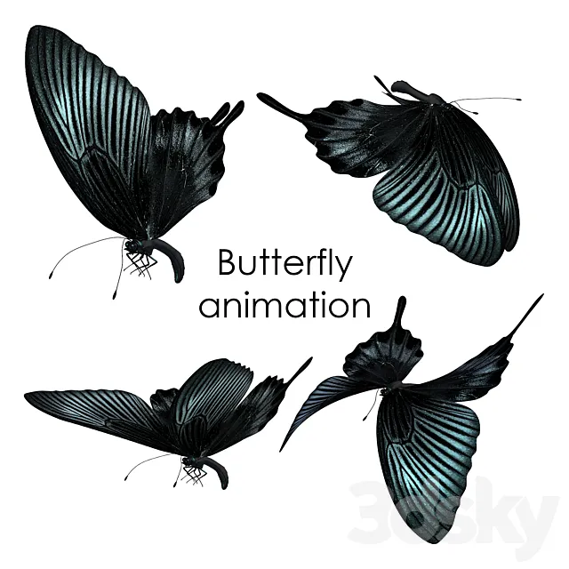 Butterfly animation 3DModel