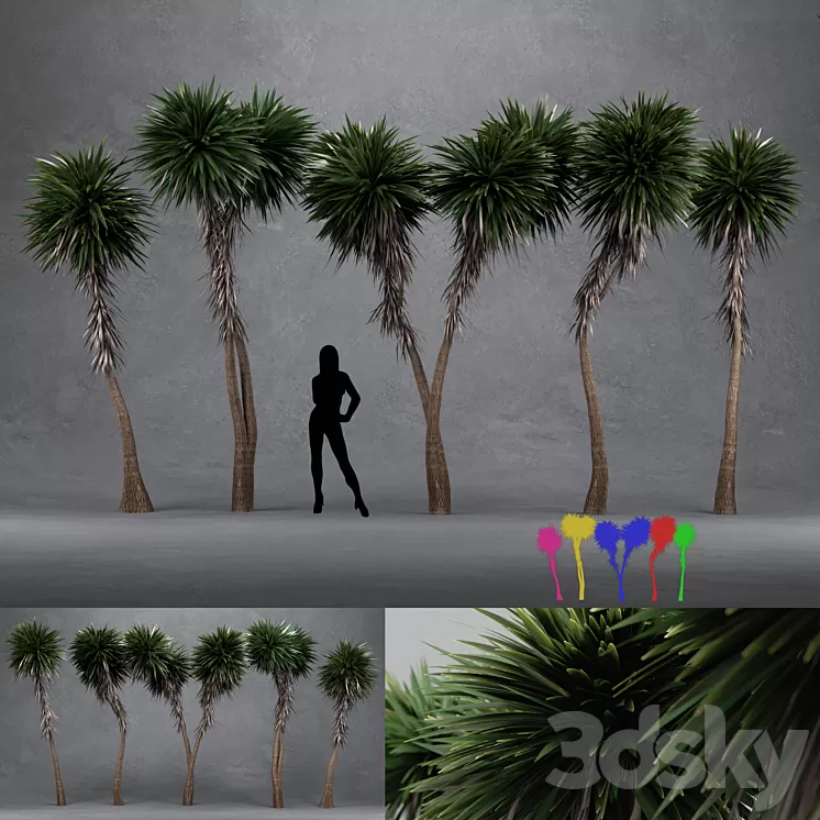 Cabbage Tree – Cordyline Australis – Large02 3D Model