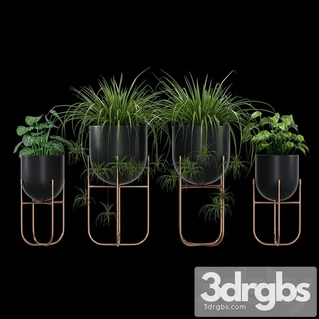 Cache 3D Model Download