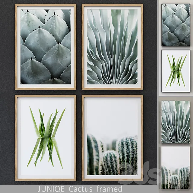 Cactus framed 3D Model Cactus framed 3D Model