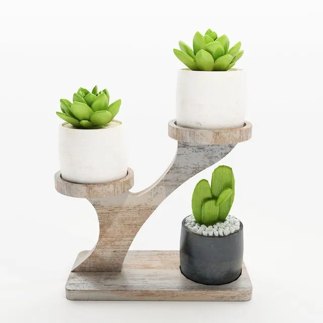 Cactus on the stand 3D Model Cactus on the stand 3D Model