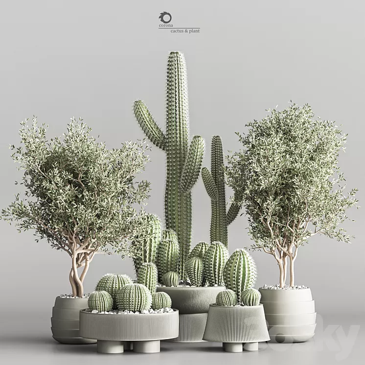 Cactus & plant vol 01 3D Model Free Download
