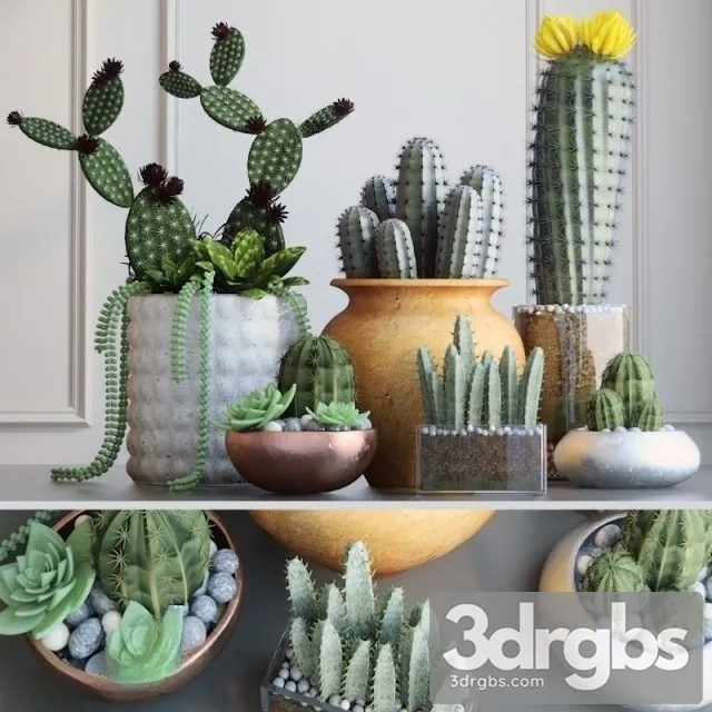 Cactus Pots Set 3D Model Download