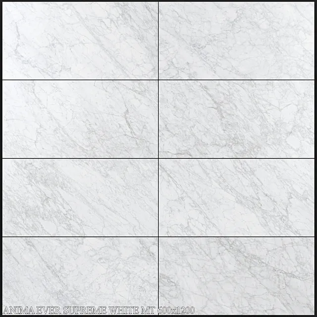 Caesar Anima Ever Supreme White MT 600×1200 3D Model