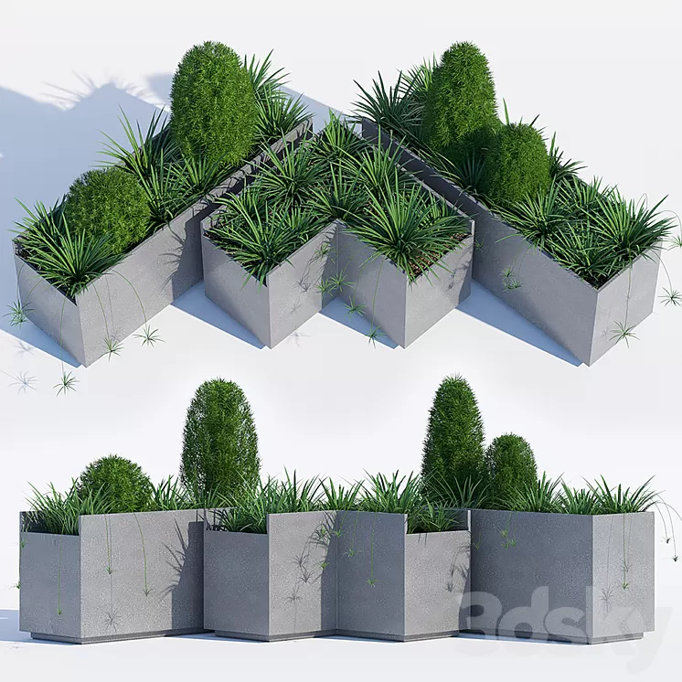 California 3D Model