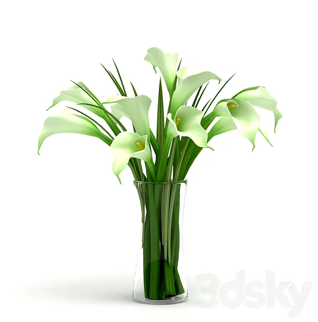 Calla 3DModel Calla 3DModel
