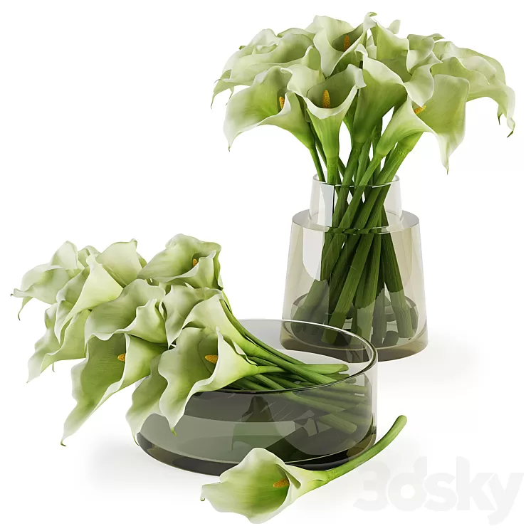 Calla lilies bouquets 3D Model