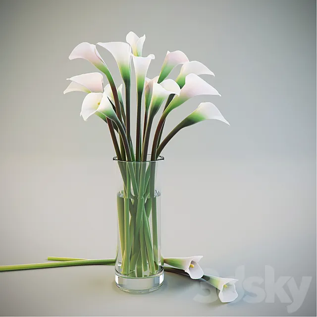 Calla Lilies in a vase 3D Model Calla Lilies in a vase 3D Model