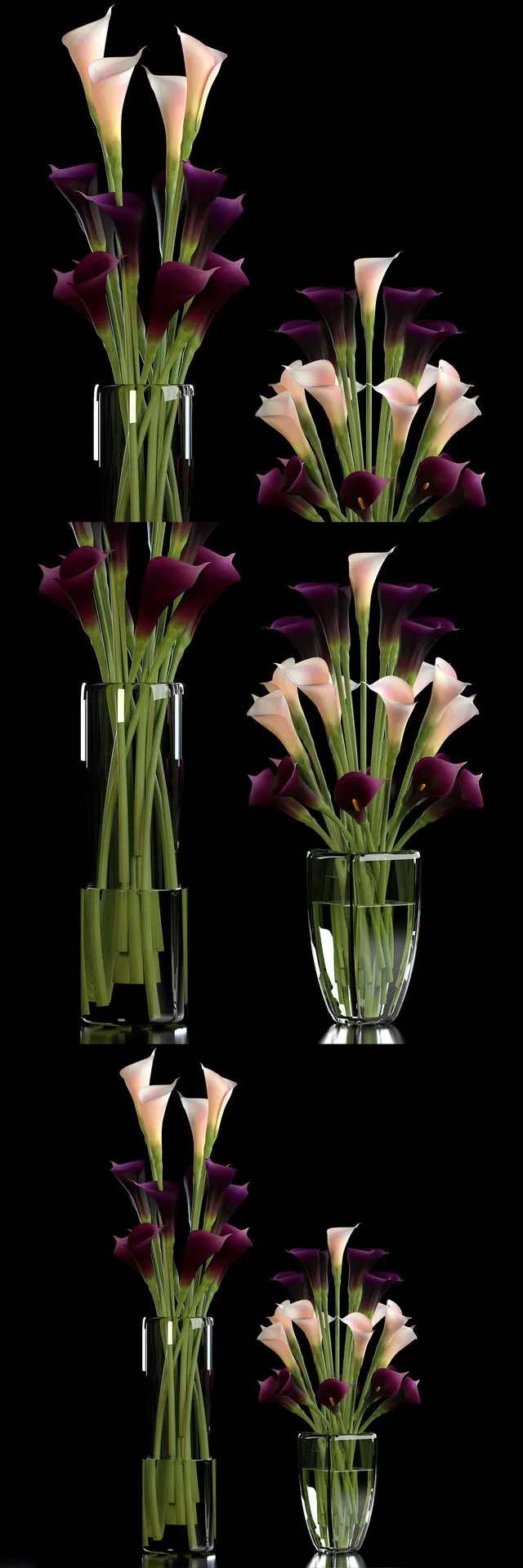 CALLA LILLY PURPLE 3D Model CALLA LILLY PURPLE 3D Model