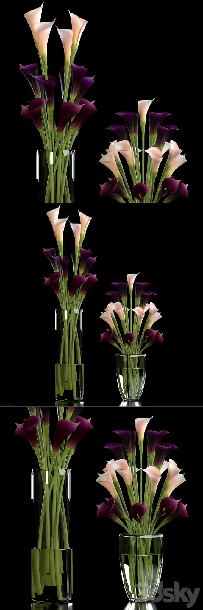 CALLA LILLY PURPLE 3D Model