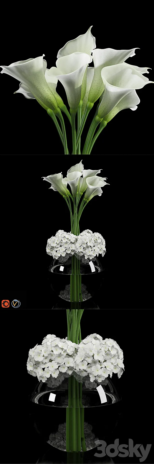 Calla Lily 2 3DModel Calla Lily 2 3DModel