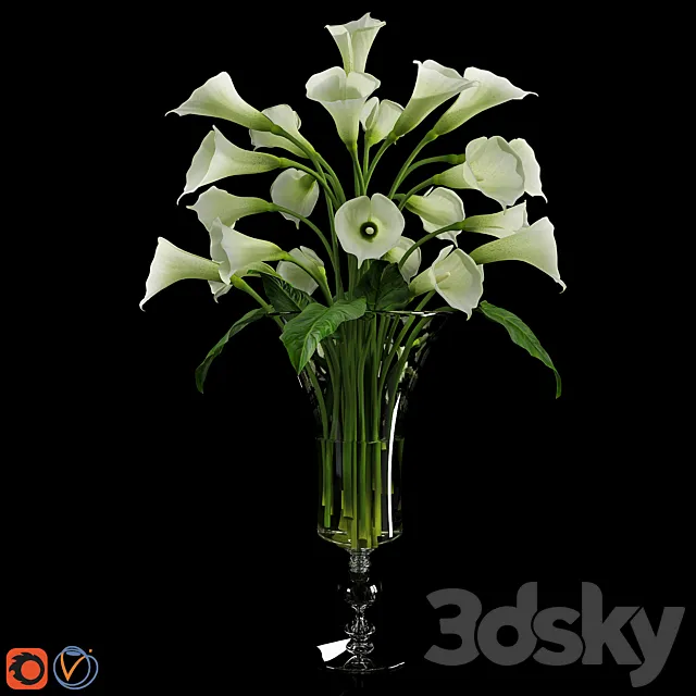 Calla Lily 3 3D Model Calla Lily 3 3D Model