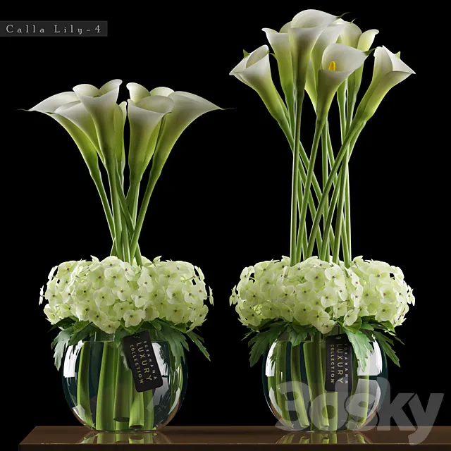 CALLA LILY 3DModel CALLA LILY 3DModel