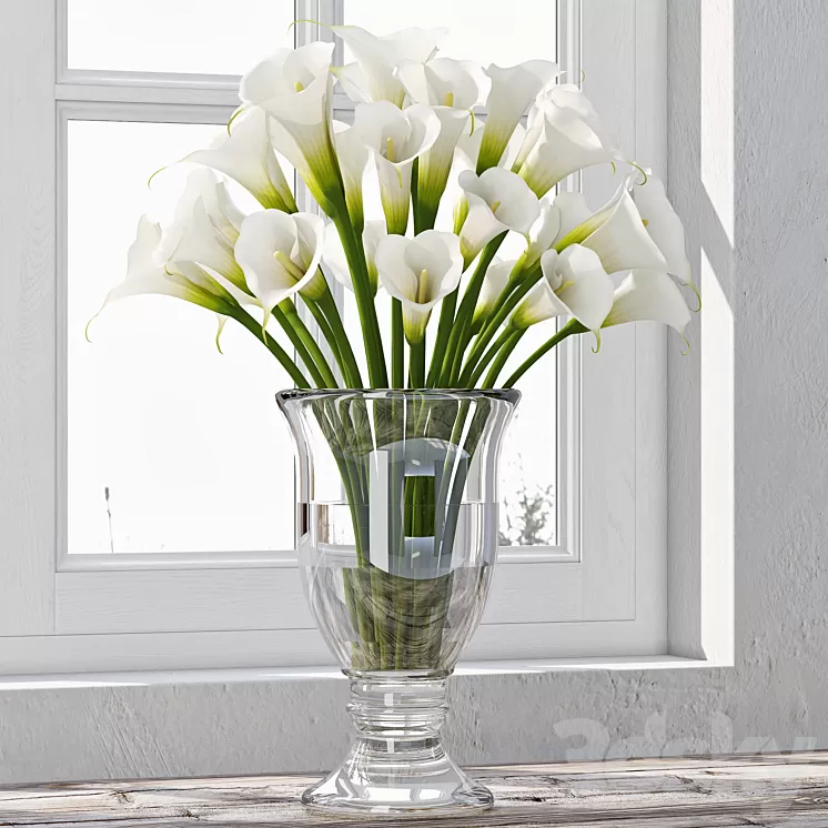 Calla Lily 4 3D Model