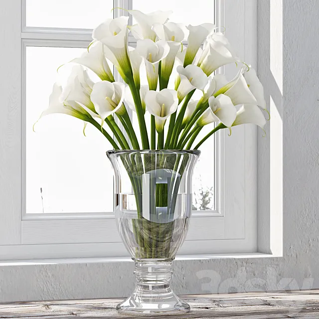 Calla Lily 4 3DModel
