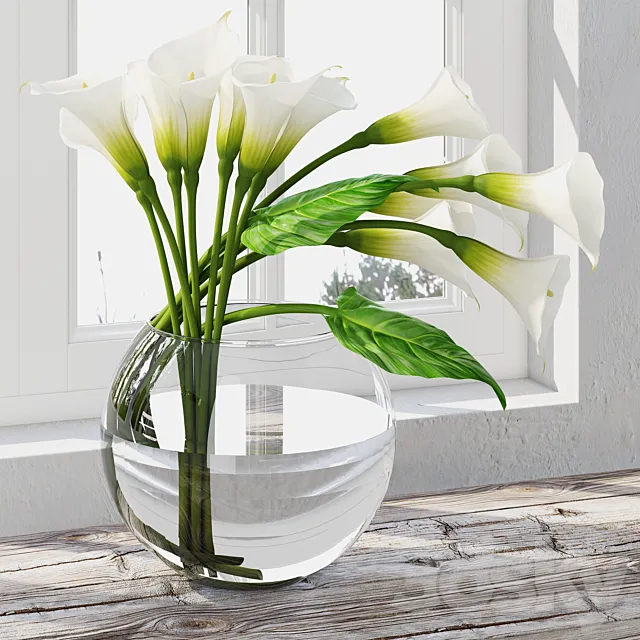 Calla Lily 7 3D Model Calla Lily 7 3D Model