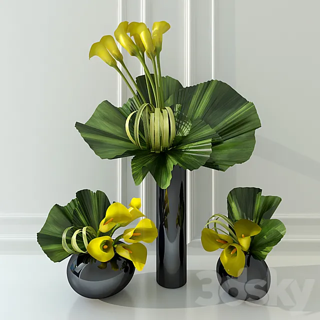 Calla lily yellow 3D Model Calla lily yellow 3D Model