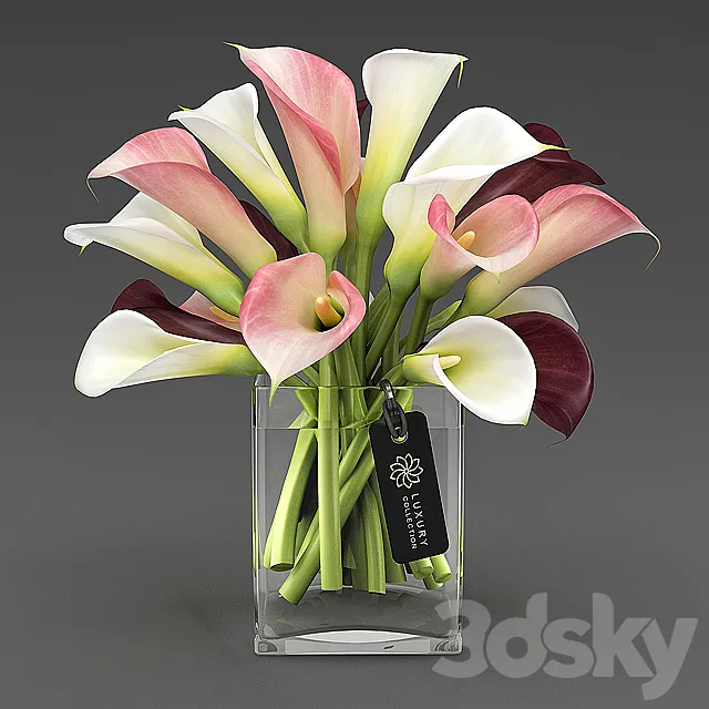 Calla_04_1 3D Model Calla_04_1 3D Model