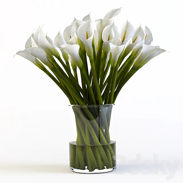 Callas 3D Model Callas 3D Model