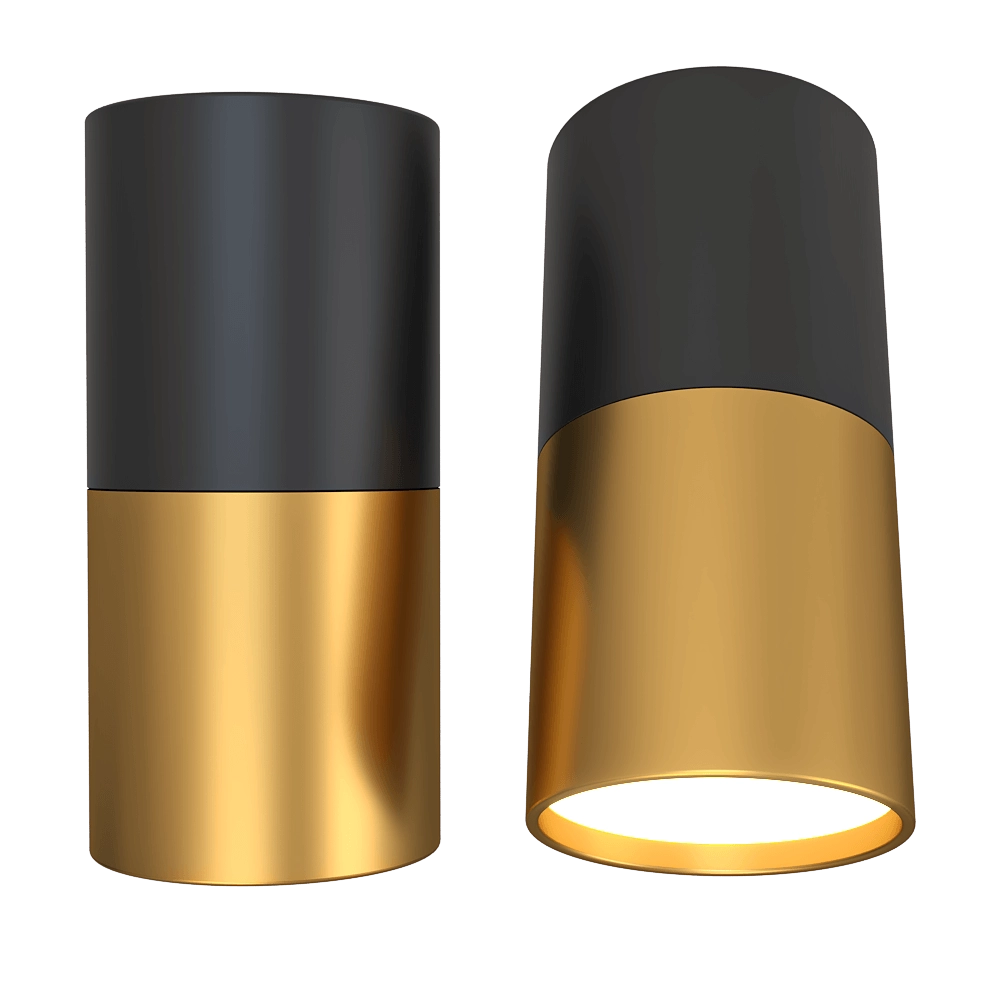 Candellux Lighting – Ceiling fixture Black and gold GU10 Tube 3D Model