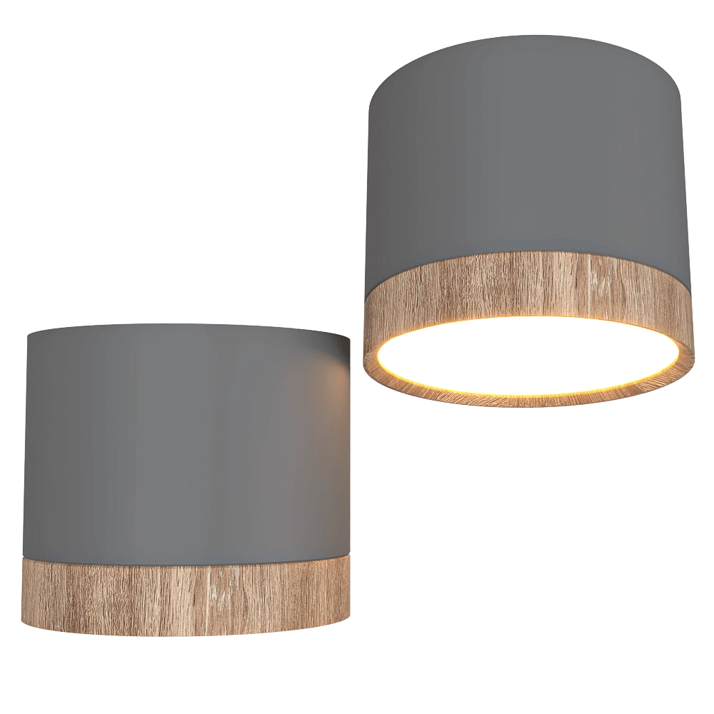 Candellux Lighting – Ceiling lamp Тube gray 3D Model