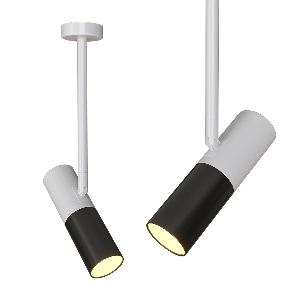 Candellux Lighting – Ceiling light Adjustable white and black tube 31-77912 3D Model