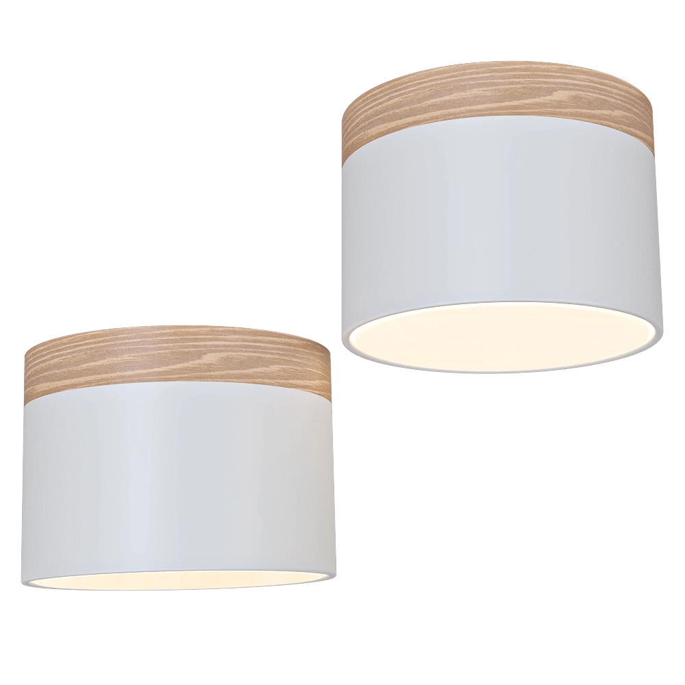 Candellux Lighting – Spot light BiałaWooden LED 9W Tuba Candellux 2273648 3D Model