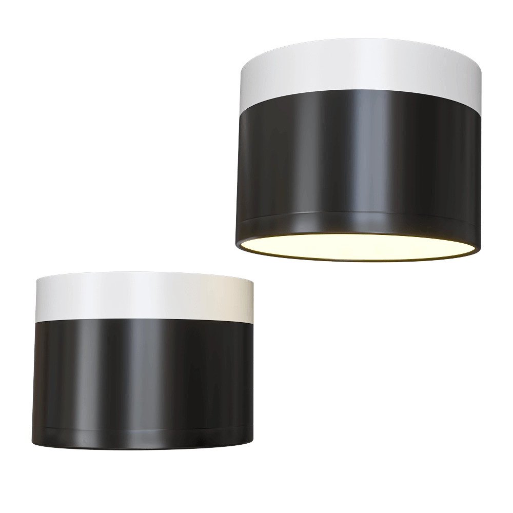 Candellux Lighting – Spot light black and white 2273716 3D Model