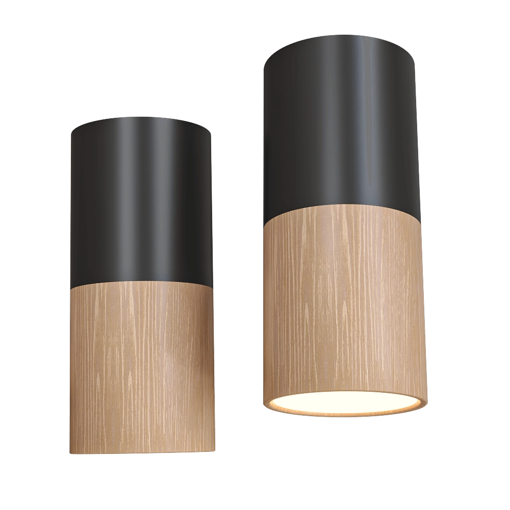 Candellux Lighting – Spot light black and wooden metal 2282862 3D Model