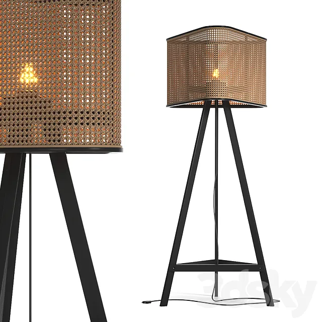 Cane Floor Lamp 3D Model Cane Floor Lamp 3D Model
