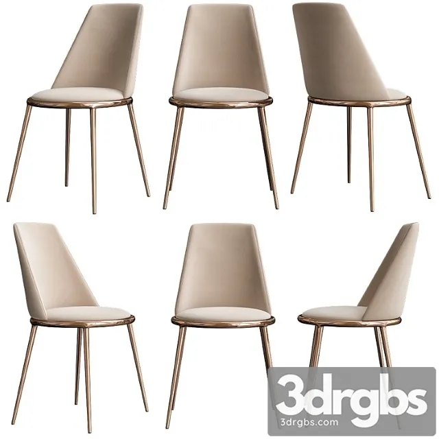 Cantori aurora 2 3D Model Download