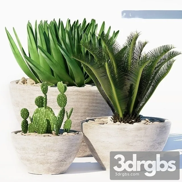 Capi Europe Ivory Rib Indoor Plant Pot 3D Model Download