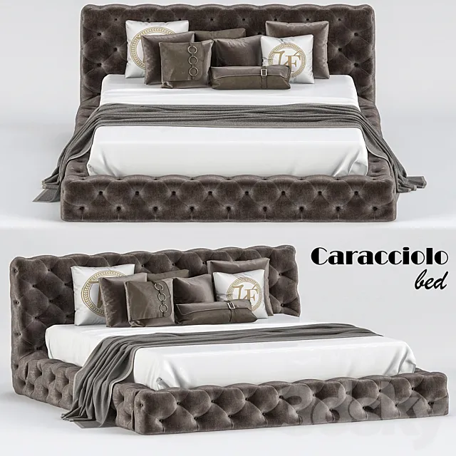 Caracciolo 3DModel Caracciolo 3DModel