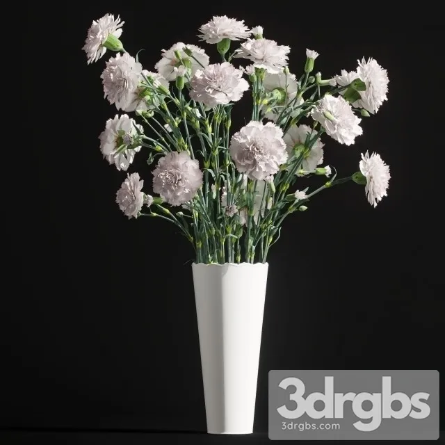 Carnation Bouquet 3D Model Download Carnation Bouquet 3D Model Download