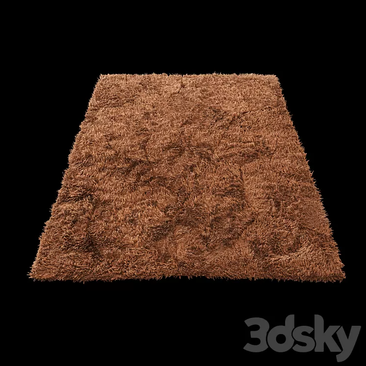 Carpet 3D Model