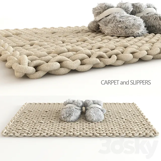 carpet and slippers 3DModel