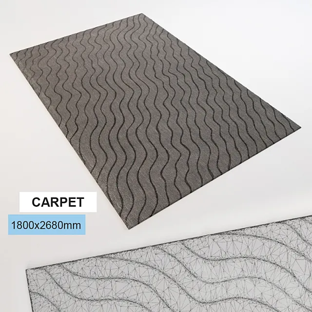 carpet in 3D Model carpet in 3D Model