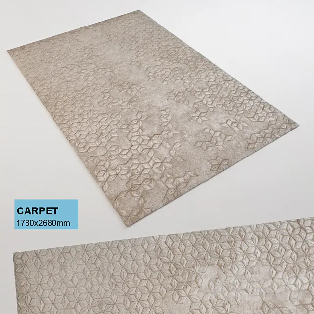 Carpet p 3DModel Carpet p 3DModel