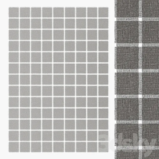 Carpet Paola Lenti Net 20 3D Model