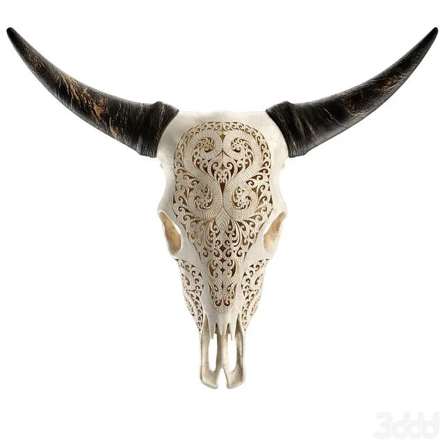 Carved cow skull (Skull of a cow with a carved pattern) 3D Model Carved cow skull (Skull of a cow with a carved pattern) 3D Model