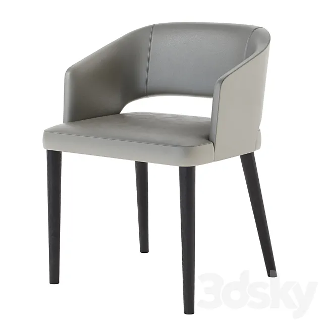 Casamilano Elsa Chair 3D Model