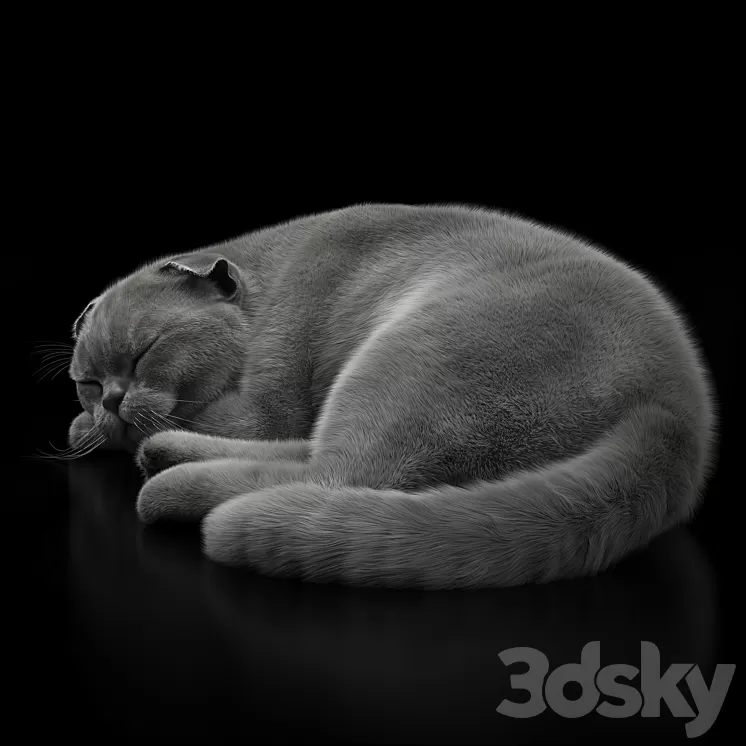 CAT 6 VRay 3D Model