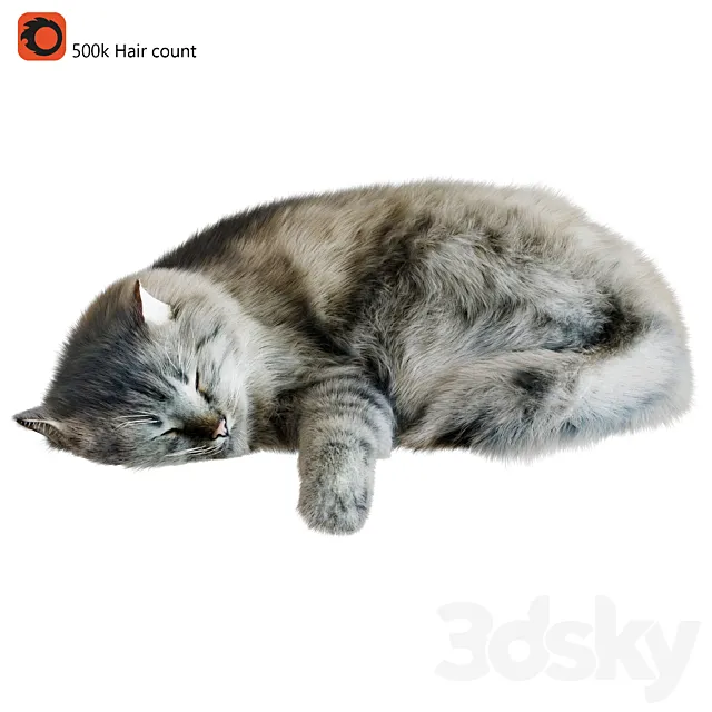 Cat Corona 3D Model